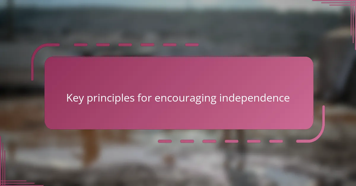 Key principles for encouraging independence