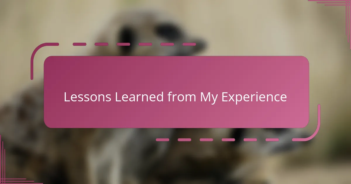 Lessons Learned from My Experience